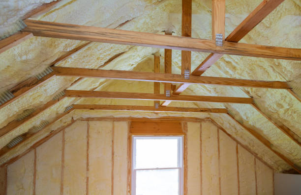 Best Spray Foam Insulation  in Oologah, OK